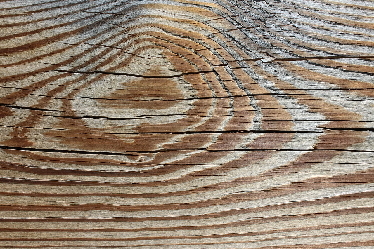 Behandelte Holzstruktur mit langlebigem Schutz gegen Witterung